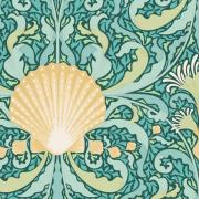 Scallop Shell Teal