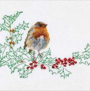 Winter Robin