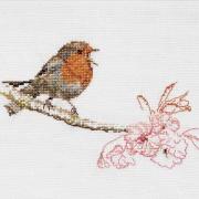 Spring Robin
