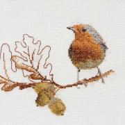 Autumn Robin