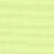 Aida 55 (14ct.) Lime