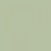 Solid Sage Green