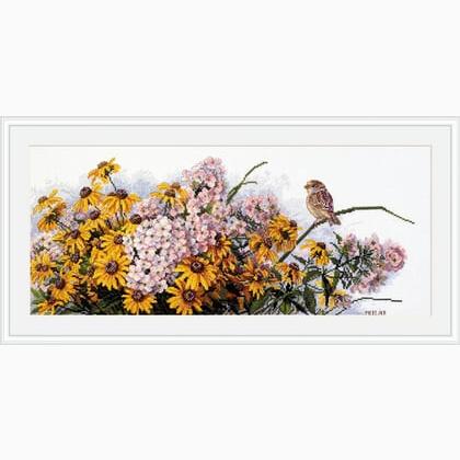 Black Eyed Susans and Phlox