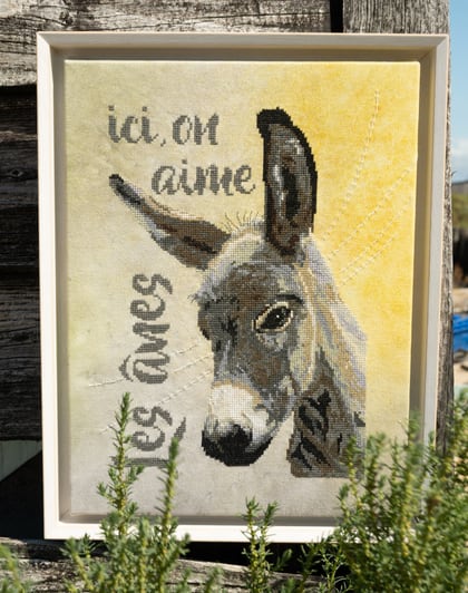 Les ânes d\'Oléron