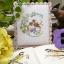 Le grand ABC «Oiseaux»