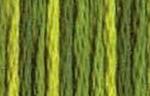 DMC Color Variation 4066