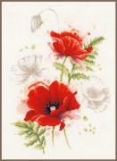 Amapolas