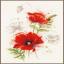 Amapolas