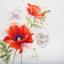 Amapolas