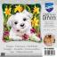Westie y narcisos