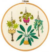 Plantas de interior