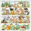 Tiere des Waldes