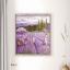 Lavender Field