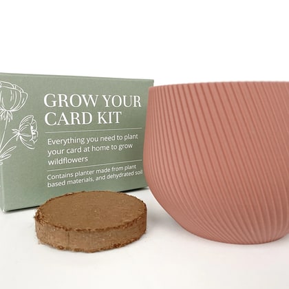 The Grow Your Card Kit - Salmón