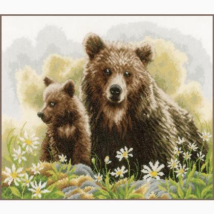 Osos en el bosque