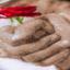 Rosa de boda