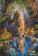 Wild Spirit