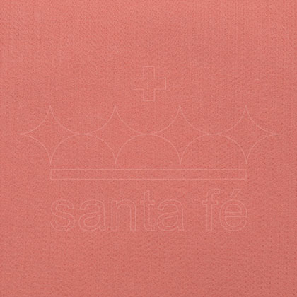 Fieltro ligero - Kyly pink