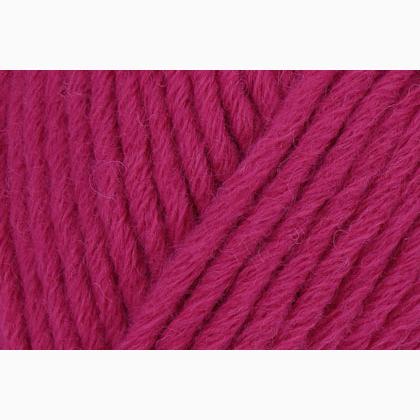 Boston - Fucsia