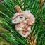 Broche - Unicornio