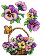 Violeta