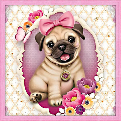Baby Pug