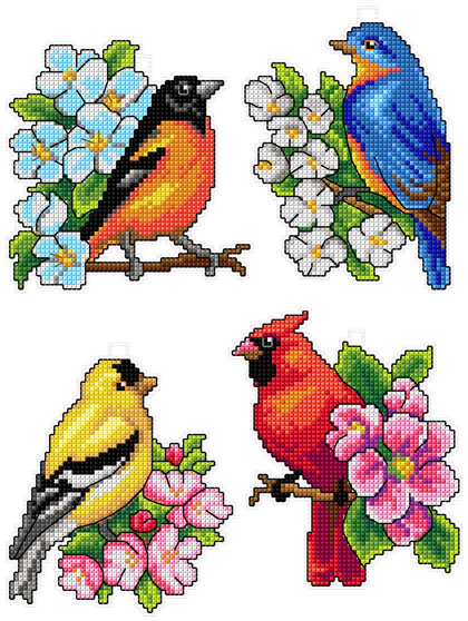 Aves