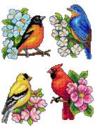 Aves