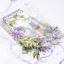 Fragrance of Clematis