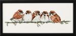House sparrow