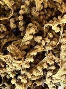 Organic Honey Mini Pom Pom (1yd)