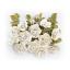 Bonita Shabby Chic