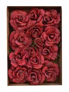 Bonita Love and Roses