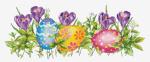 Crocus