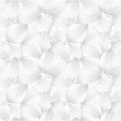 Tela Aida para bordar impresa 14ct - Pétalos gris perla 38X46CM