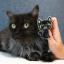 Broche - Gato negro