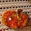 Broche - Calabaza