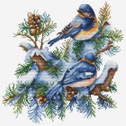The birds-winter