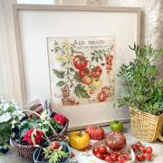Étude aux tomates - Lino