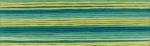 Hilo para bordar Cosmo Seasons - 8020