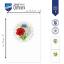 Tarjetas de felicitaciones: Flores silvestres - Juego de 3