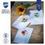 Tarjetas de felicitaciones: Flores silvestres - Juego de 3