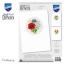 Tarjetas de felicitaciones: Flores silvestres - Juego de 3