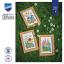 Flores de campo - set de 3