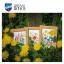 Flores de campo - set de 3