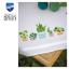 Mesa de centro - Plantas de interior
