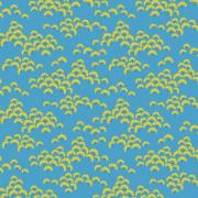 Cottonbloom Sky