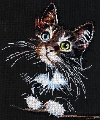 Gatito esponjoso