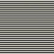 Tropical - Black stripes