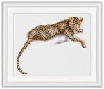 Safari Leopard